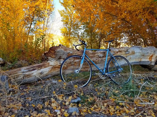 Cykelturism i Uppsala